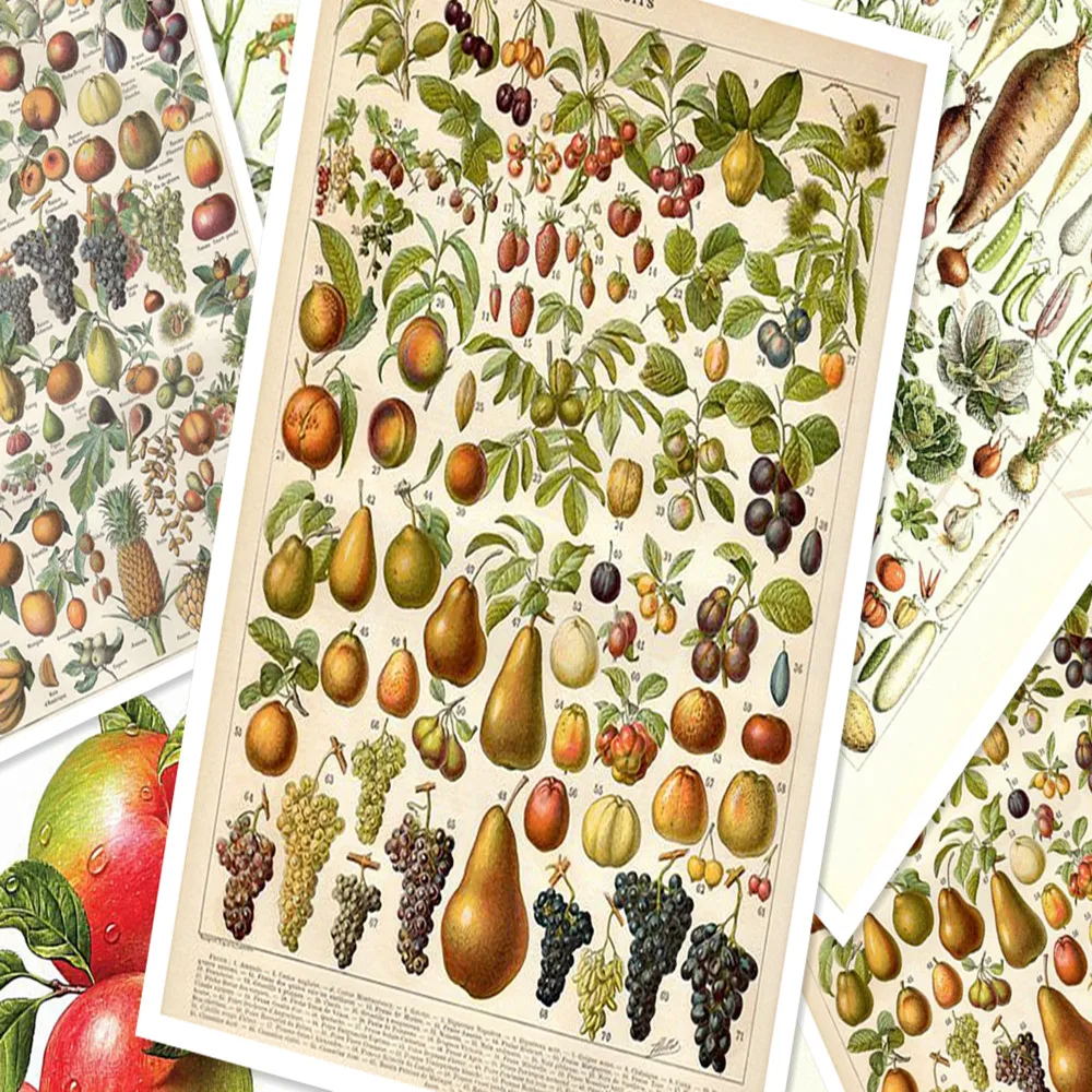 

Hearty fruit\vegetables\Melon posters wall sticker 30X42 CM nostalgia retro kraft paper HD Inkjet printing art decoration