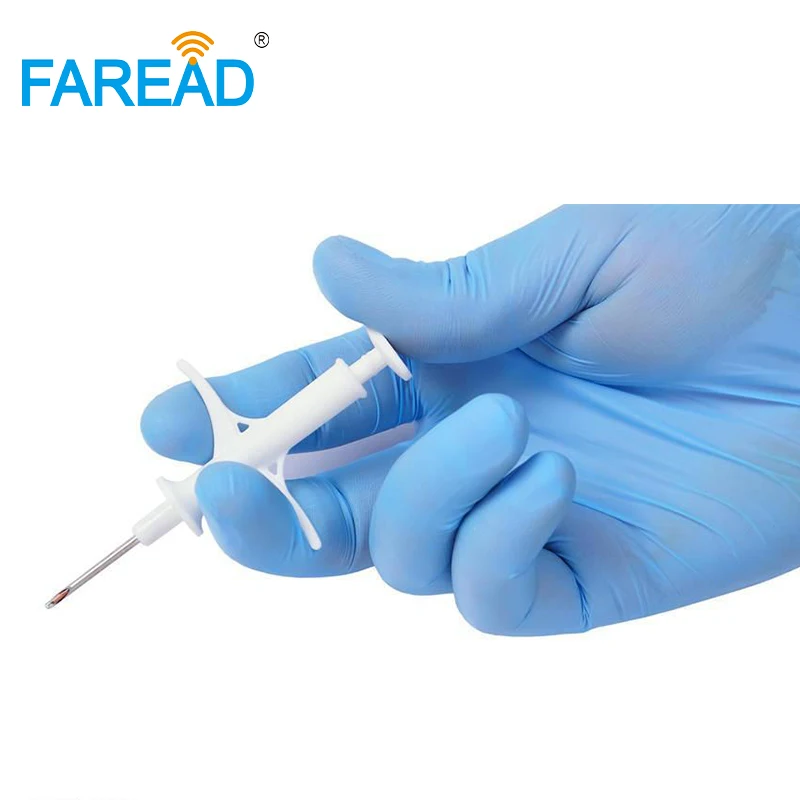 gato cao cavalo peixe identificacao 03