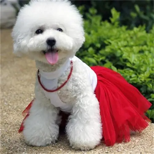 Diseño de de Novia de Raso de Tela de Descuento Perros Perros Vestidos de 5 Colores Del Vestido de Boda Formales para YHT-038 online - AliExpress