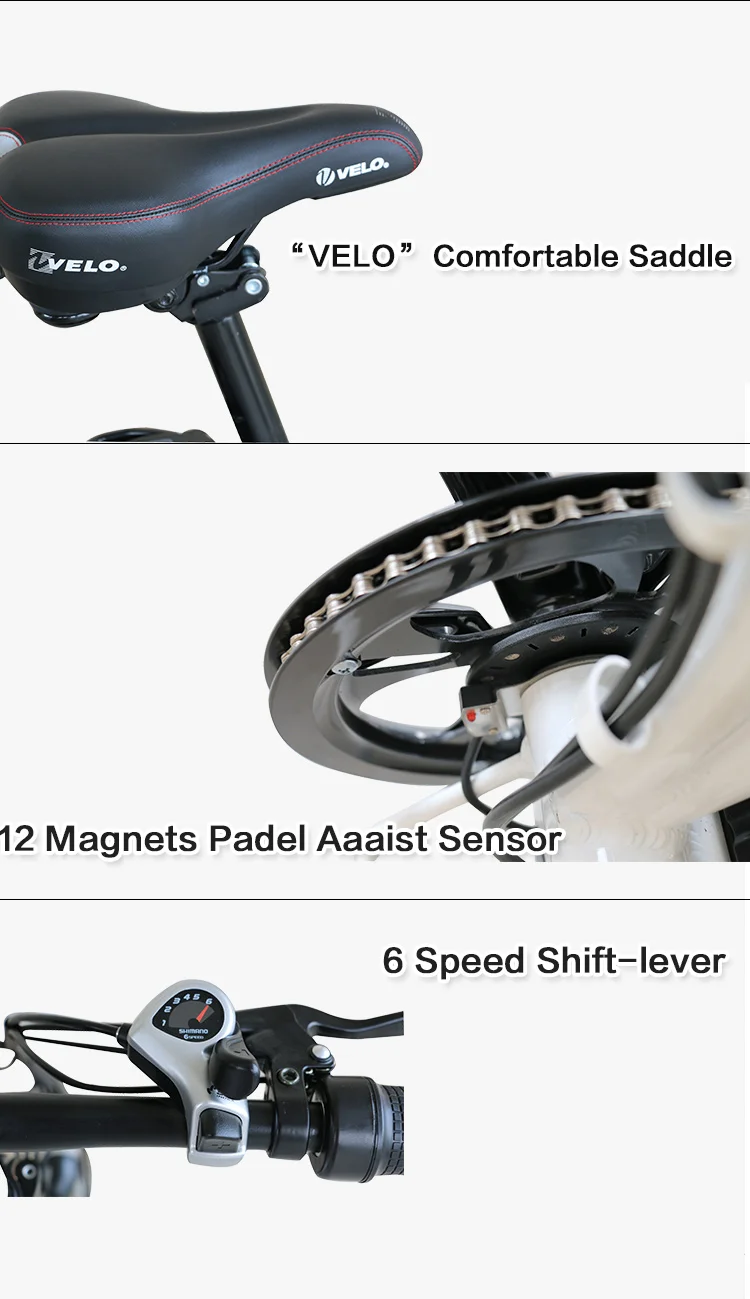 Discount 20 inch Electric Bicycle Folding Ebike 36V 250W Rear hub Motor Wheel with 36v 10ah Lithium Battery LED Controller E-bike 6