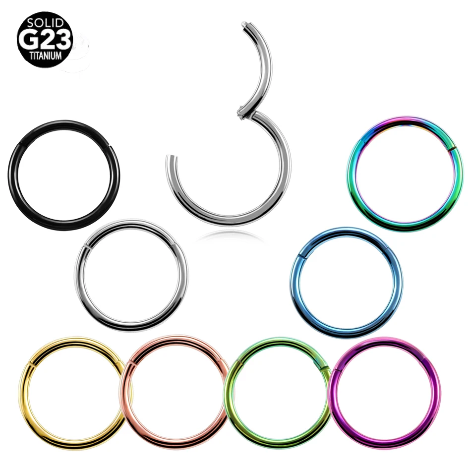 2Pcs/lot G23 Titanium Fake Nose Ring Goth Punk Lip Ear Nose Clip On Fake Septum Piercing Nose Ring Hoop Lip Hoop Rings Earrings