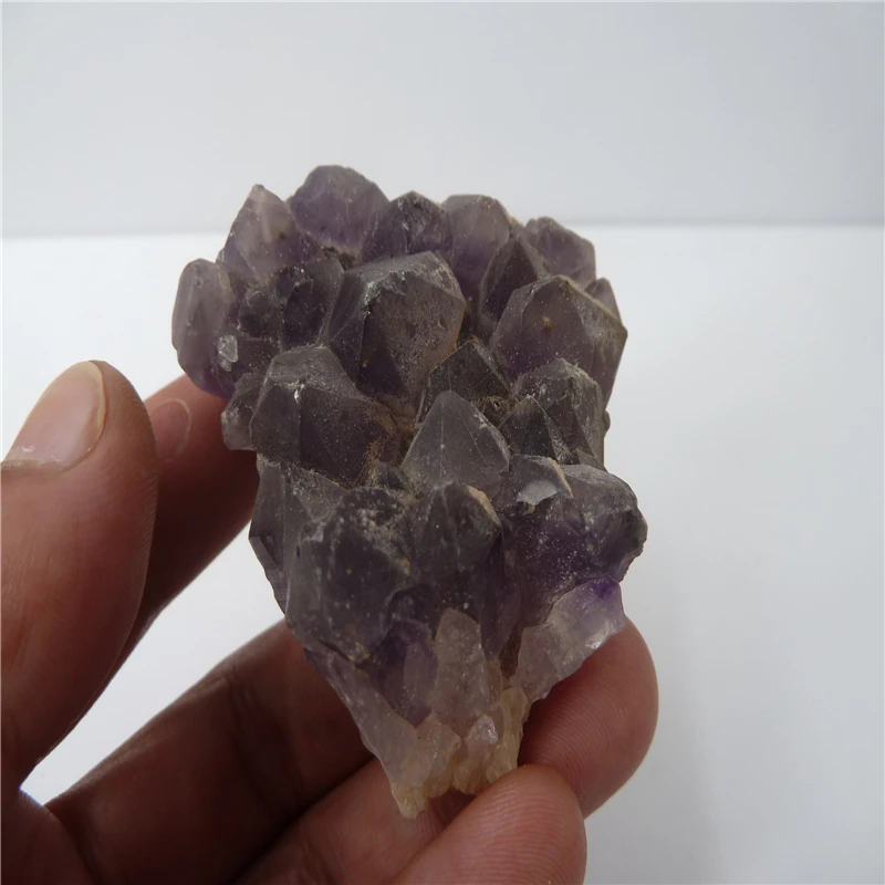 P1500451
