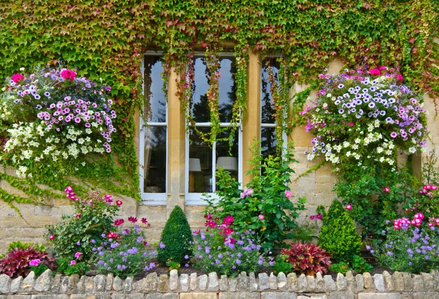 

Laeacco Natural Spring Backdrops Green Vines Flowers Parthenocissus Window Scenic Photographic Backgrounds For Photo Studio