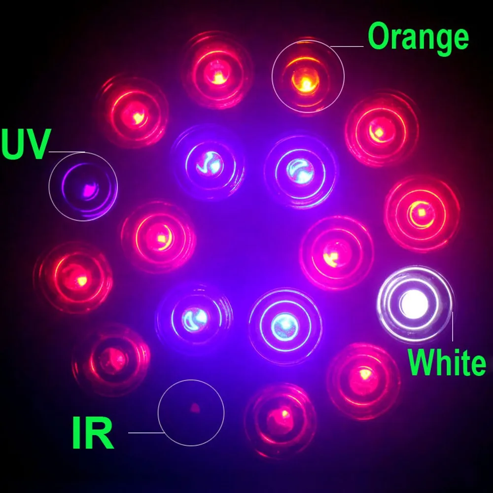 Spectrum king led coupon code