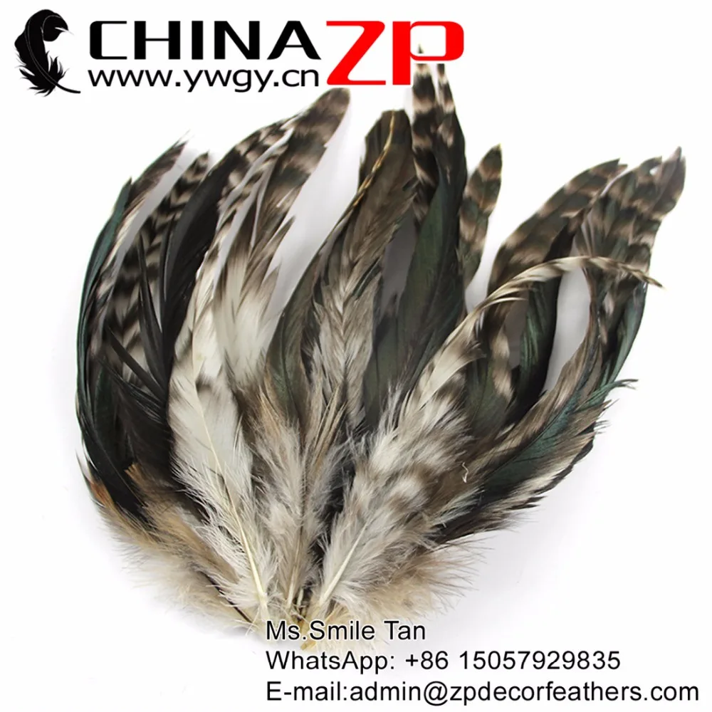 

CHINAZP Factory Exporting 200pieces/lot 6"-8" (15-20cm) Length Unique Natural Grizzly Coque Feathers
