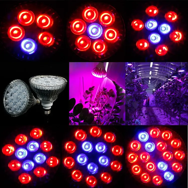 Horticulture LED Grow lamp bulb Red Blue IR UV White E27 15W 21W 27W 36W 45W