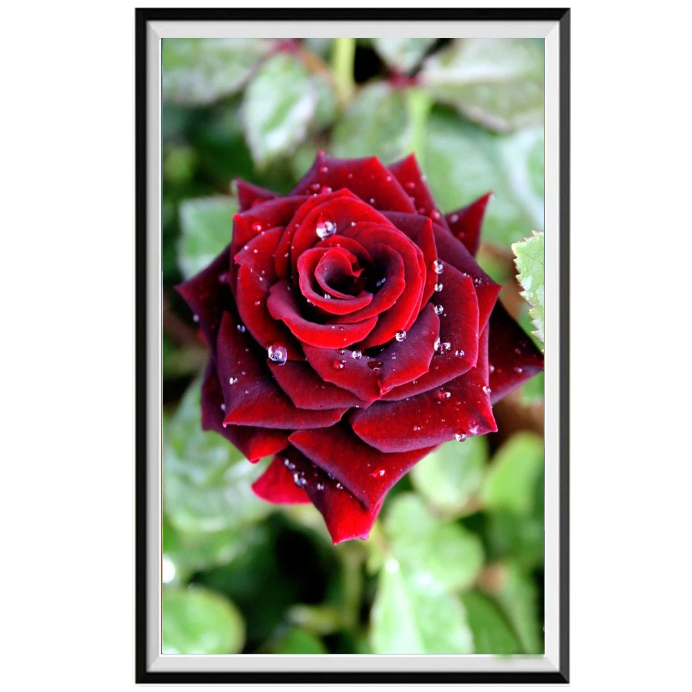T9962-C1