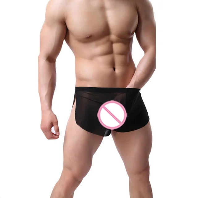 gay erotic sheer shorts Gay erotic sheer shorts
