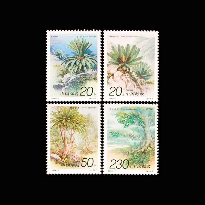 4 Pz/Set Piante Cycas Francobolli Cinesi Tutti I Nuovi Francobolli Per La Raccolta