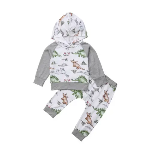 

UK Newborn Baby Boys Girls Dinosaur Cotton Hoodies Tops Pants Outfits Clothes