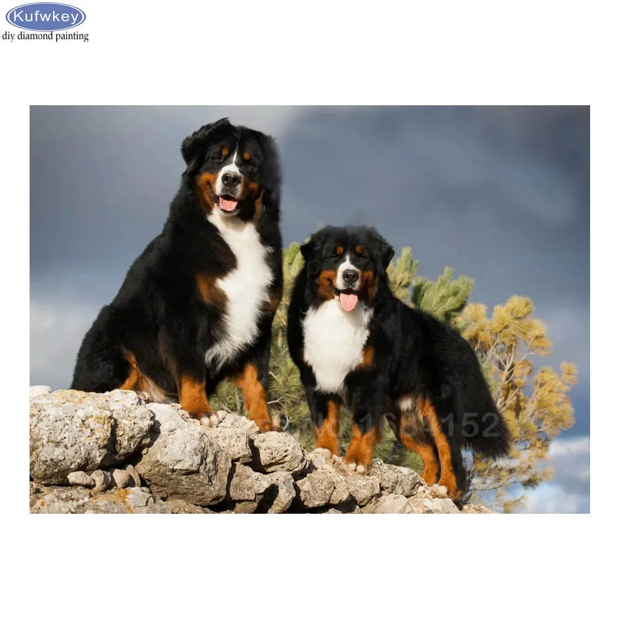

5d Diamond Embroidery Bernese Mountain Dog Cross Stitch Mosaico Rhinestone Painting Diamond Painting Animal Dogs Decor Home B856