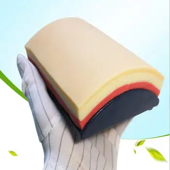

Silicone Rubber Human Skin Fat Muscle Simulation Model for School Teaching Tool Lab Supplies Doctors Nursing Practice