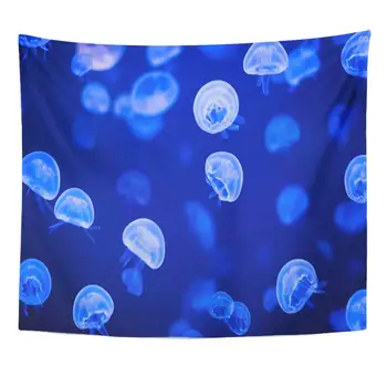 

Tapestry Jellyfish Small Jellyfishes Illuminated with Blue Light Swimming in Aquarium Ocean Underwater Home Decor Wall Hanging