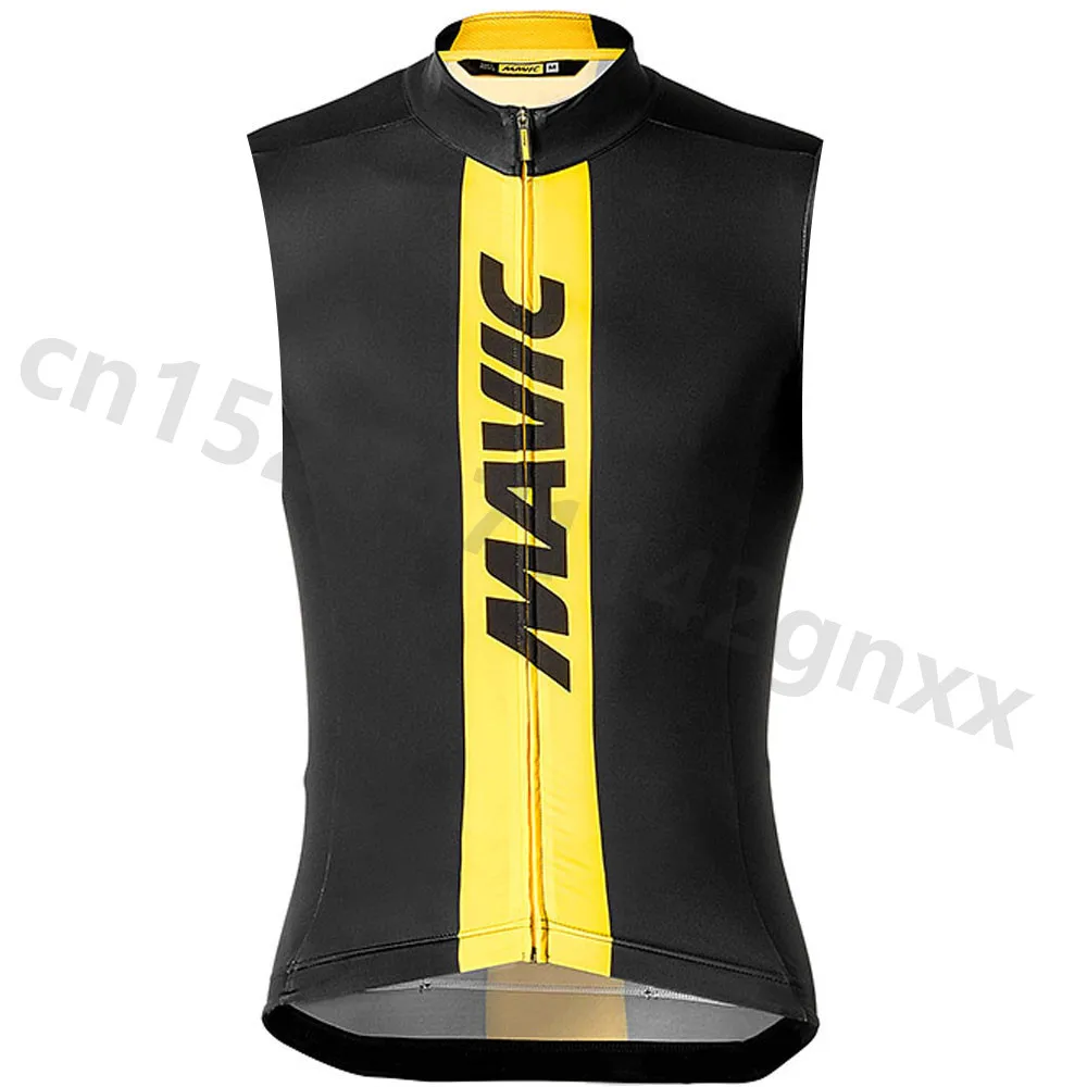 3a