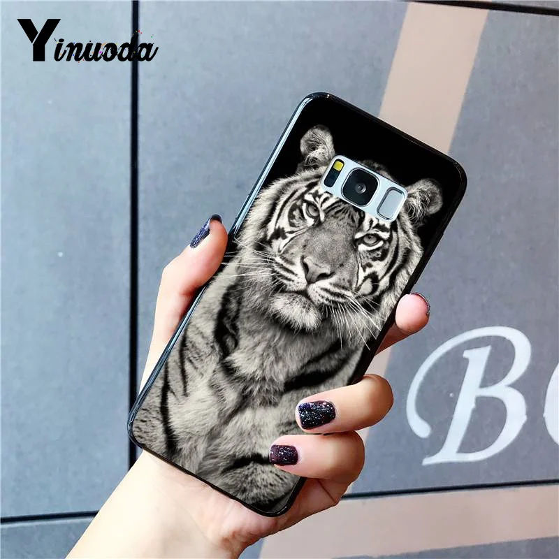 Russian version wolf tiger lion Leopard bear animal