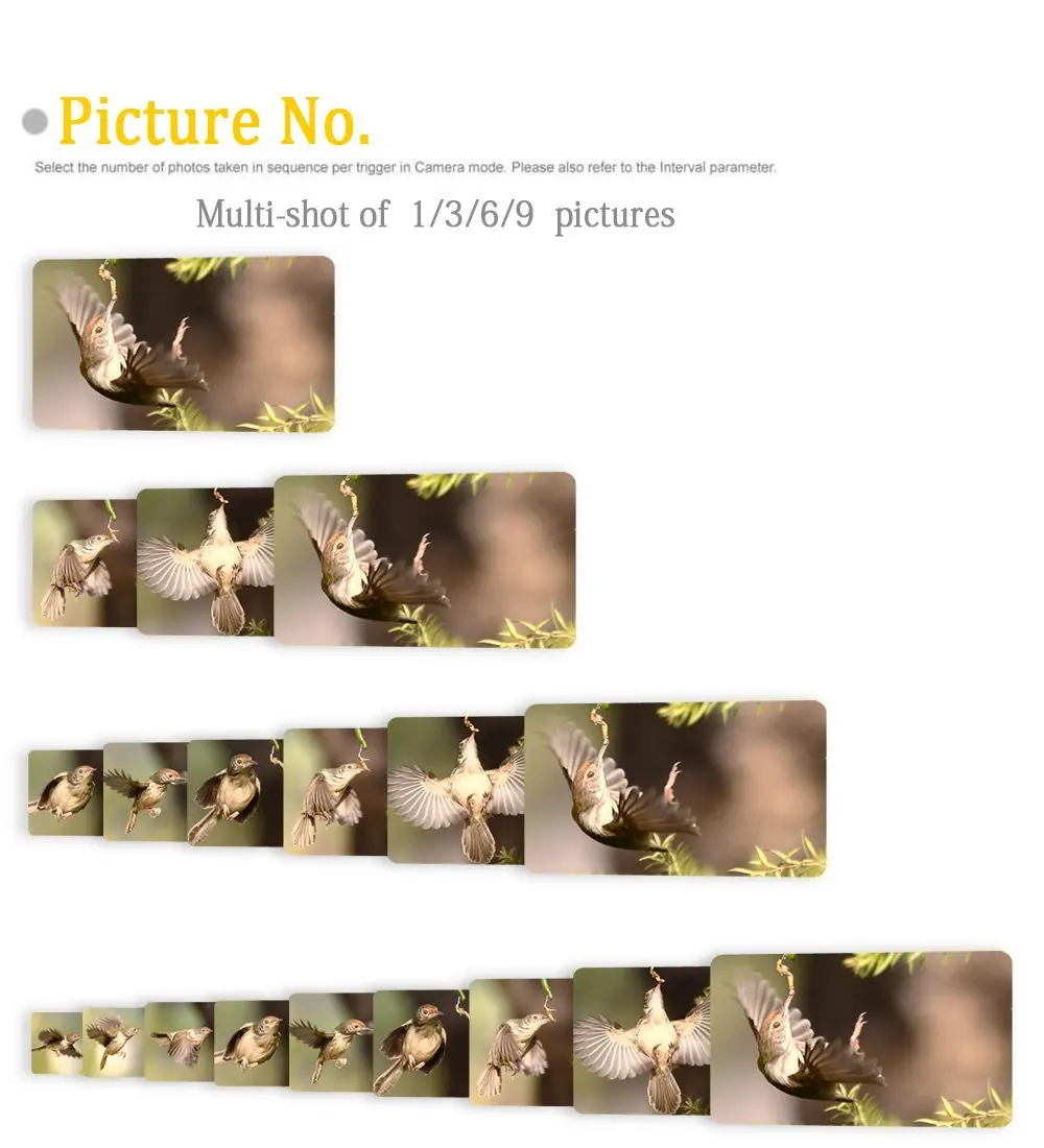 Infravermelha do E-mail da Câmera Gprs da Trilha da Caça Noturna para Armadilhas Animais da Foto Câmera Selvagem Gprs 16mp 1080 p Hc300m Visão Mms Gsm Hc350m 19 Câmeras de caça