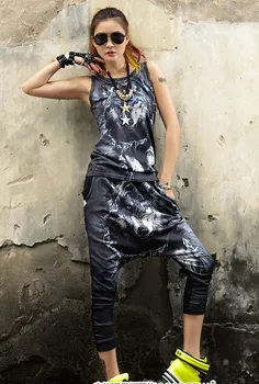 

2018 New 2 Piece Set Women Sets Hip Hop Dance Clothes 3D Wolf Printed Vest And Harem Pants Suits for Women
