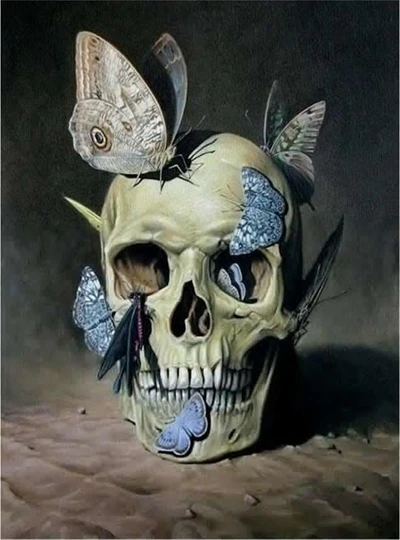 HTB1s655SpXXXXXFXVXXq6xXFXXXG
