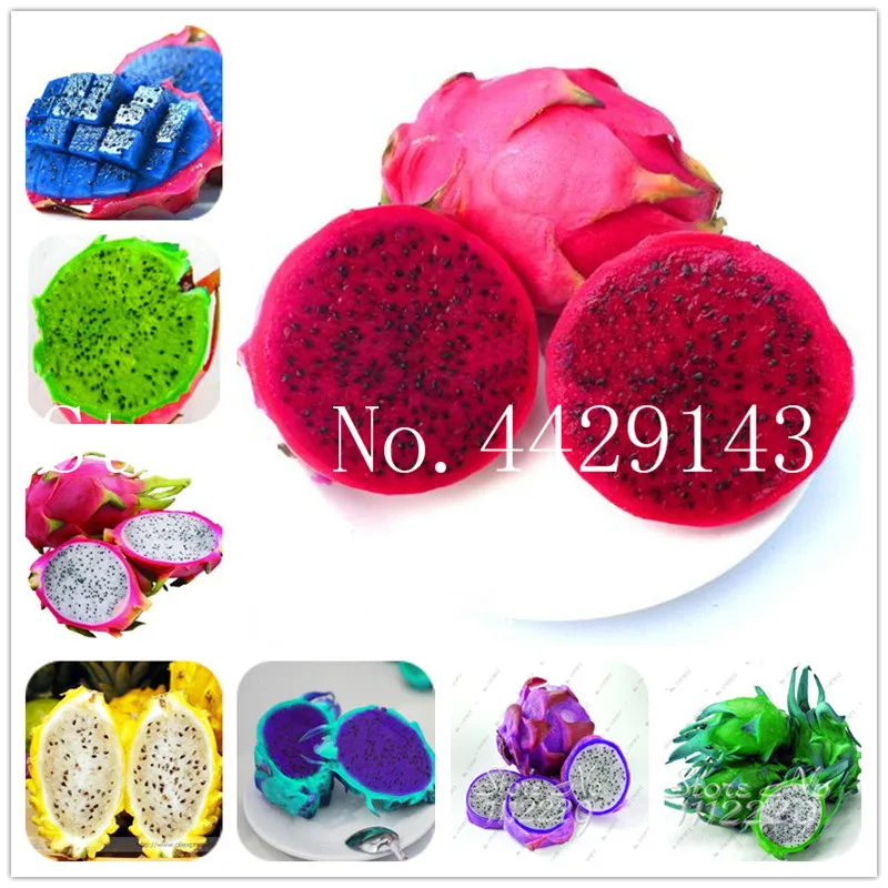 

Rare Red Heart Pitaya Bonsai Very Delicious Fruit Tree Dragon Fruit DIY Home Graden Drawf Bonsai Tree 50 Particles/Lot