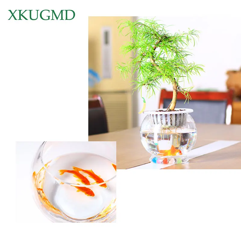 

Garden Hydroponic Plastic Flower Pot Fish Tank Breeding Potted Living Room Bedroom Home Handmade Art Decoration Bottle
