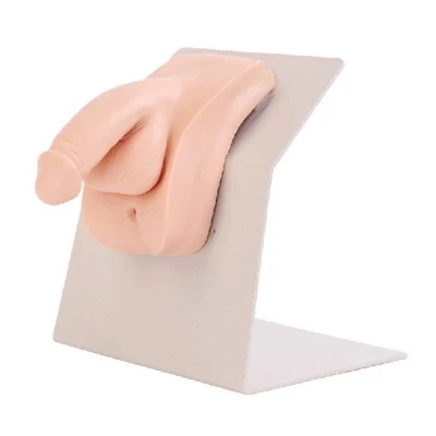 

Male/female catheterization model Internship nursing catheter model Urinary skills training free shipping