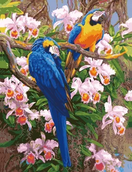 

Hot DIY Oil Painting By Numbers Animal Parrot Frameless Painting On Canvas Home Decoration Home Wall Kids Room Deco bird 40x50cm