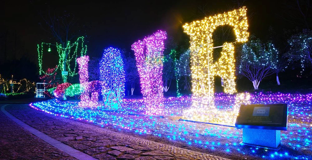 LL81-100M (3)