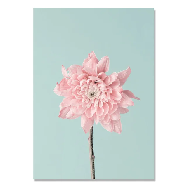 NUOMEGE-Peach-Cherry-Blossom-Flower-Nordic-Canvas-Painting-Poster-Cactus-Modern-Wall-Pictures-for-Living-Room.jpg_640x640 (1)