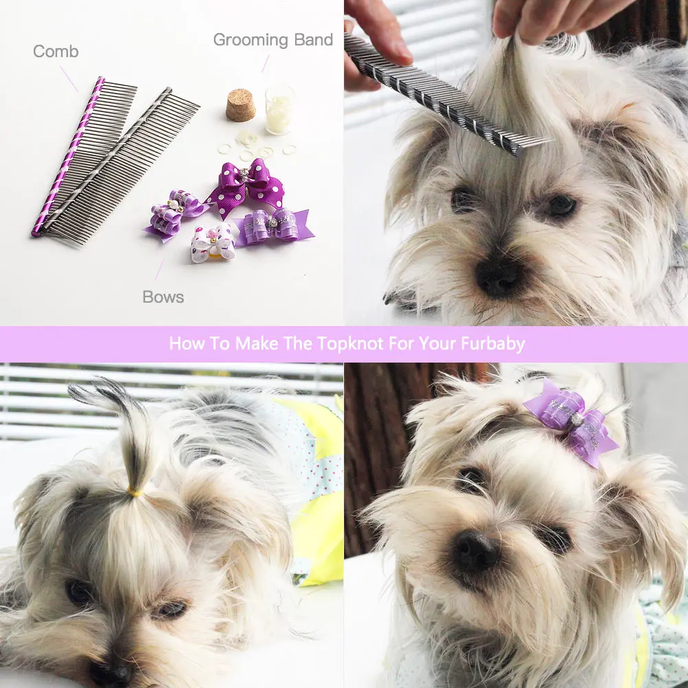 puppies with bows