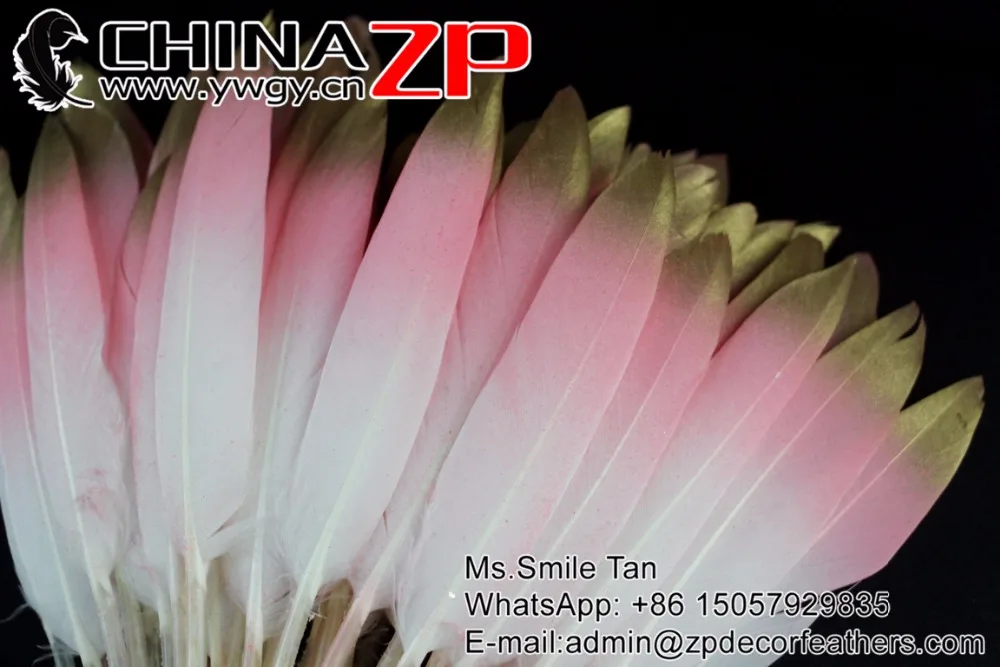15 Baby Pink Gold dipped Baby Pink feathers (2)