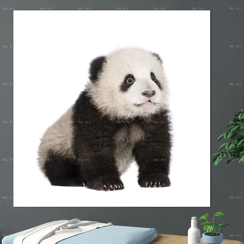 Animal wall art Poster Home Decor picture panda Canvas Painting Unframed prints Giclee Paintings for baby room painting