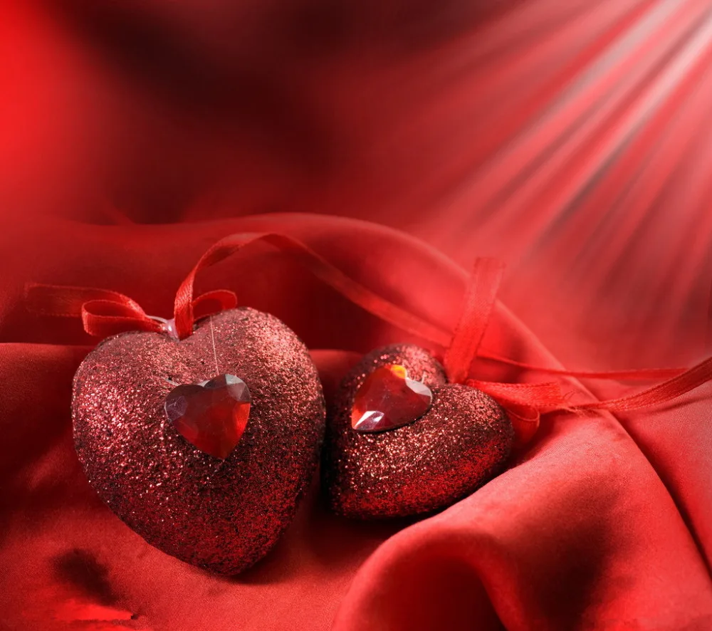 

10x10ft Vinyl Custom  Photography Backdrops Studio Props Valentine day Theme Background NVA-042