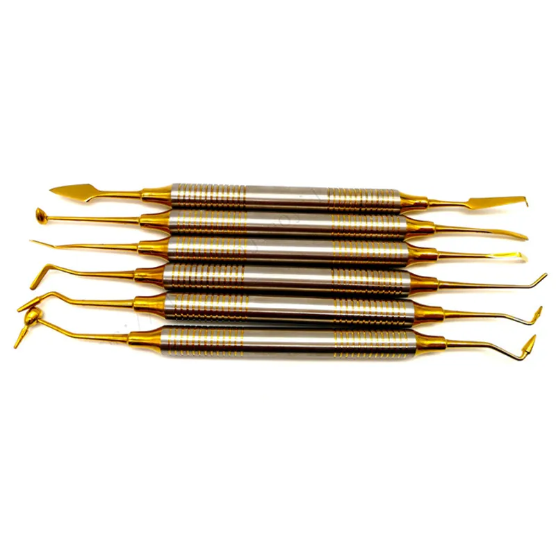 

6pcs Dental Composite Resin Filling Spatula Titanium plated Head Resin Filler Set thick handle Restoration set Dental Instrument