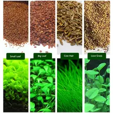 6 Pack Aquarium Plants Aquatic Water Grass Seeds Cow-hair LOVE Lucky Seeds Fish Tank Decoration Landscape Ornament 6 Pack Aquarium Plants Aquatic Water Grass Seeds Cow-hair LOVE Lucky Seeds Fish Tank Decoration Landscape Ornament