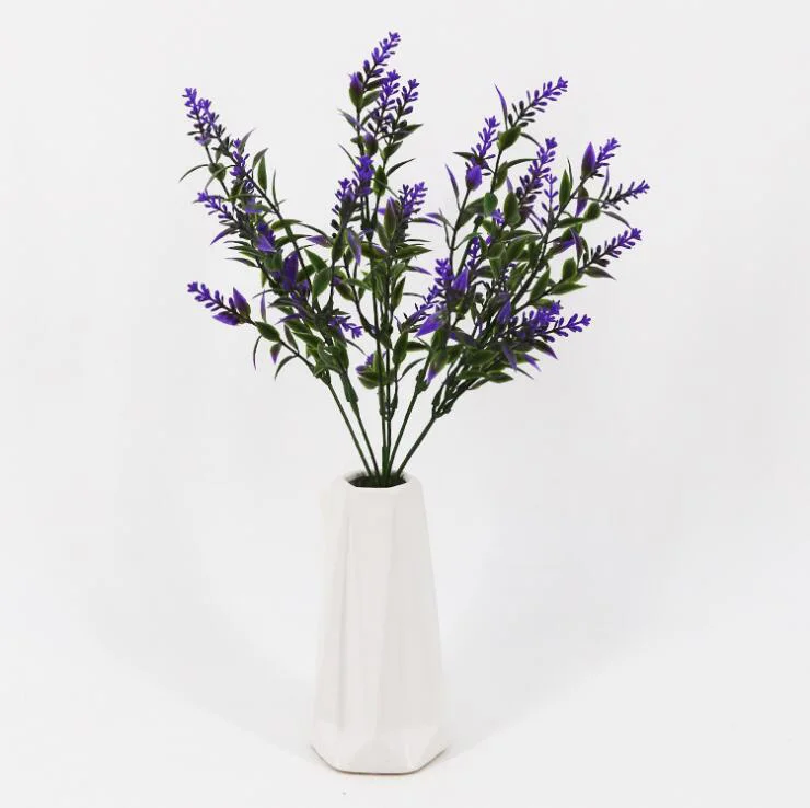 MN20-9