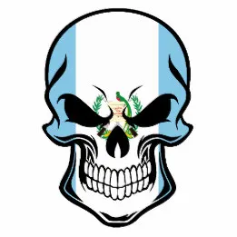 guatemalan_flag_skull_bib-rf389794b148c4b49bab58fed0089c591_zfe0o_260