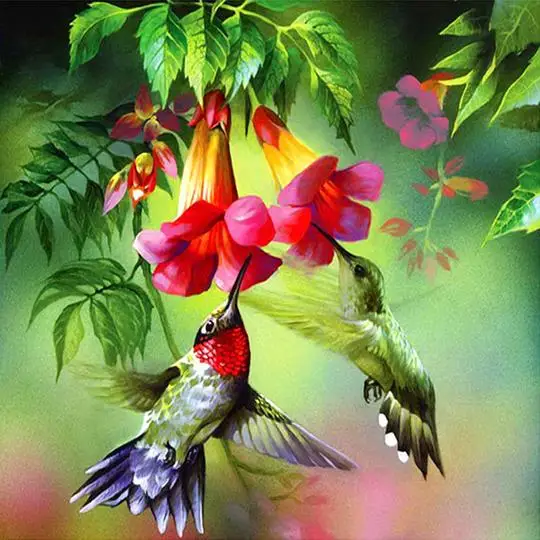 Hummingbird And Flowers