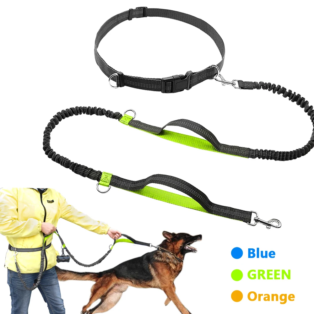 

Hands Free Retractable Dog Leash Bungee Leash Lead Reflective for Running Walking Up To 150 Lbs Large Dogs Free Bag Dispenser