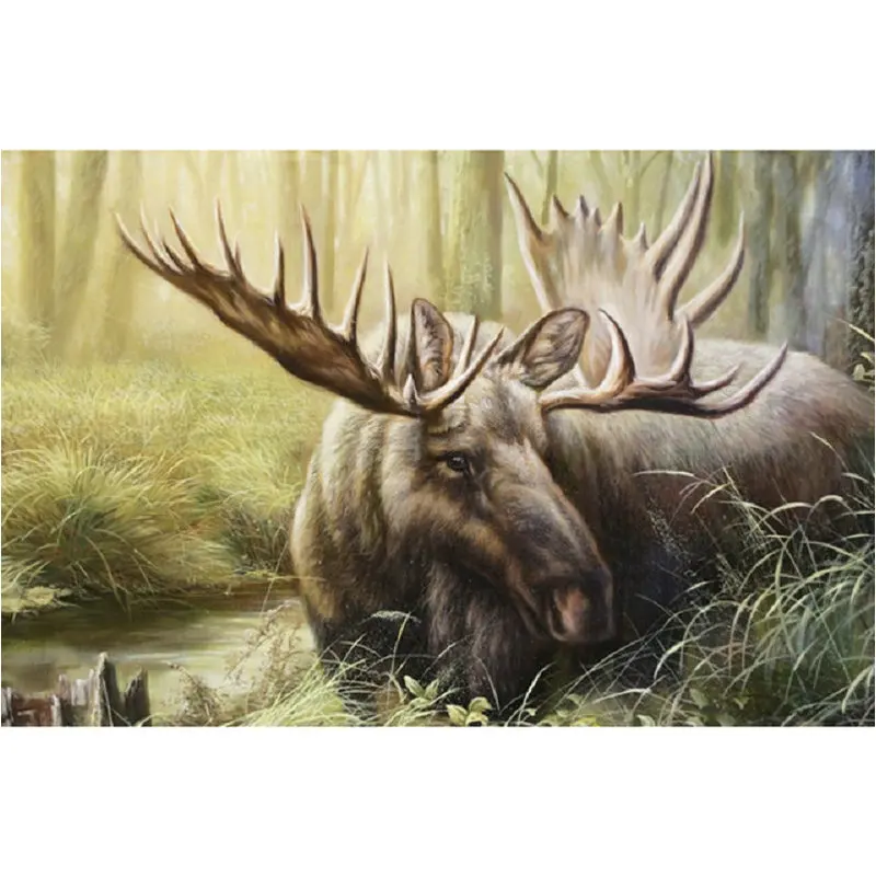 20X30 (183)