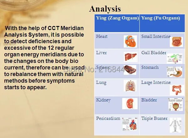 Новое поколение CCT Меридиан система анализа английский меридианная физиотерапия инструмент китайский Меридиан детектор подздоровья отчет