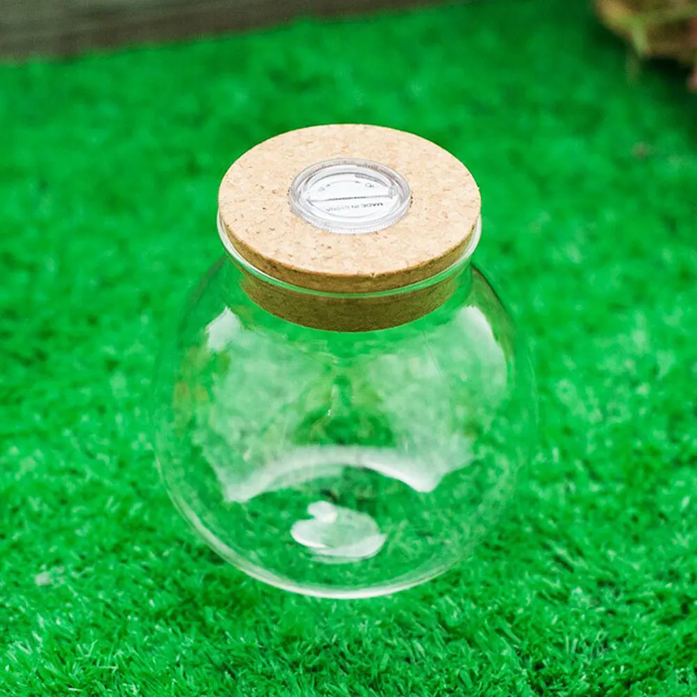 10 см Microlandscape Terrariums Wish Bottle ночник для стеклянного аквариума бутылка