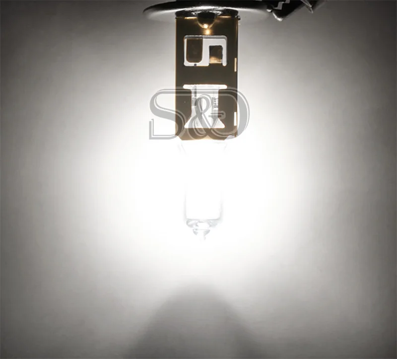 H1 100W 24V Halogen Bulb Super Xenon White Fog Lights High Power Car Headlight Lamp Car Light Source parking D030