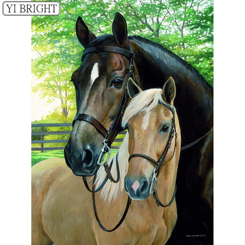 26a495cb76376801c8c1d01fba82b135