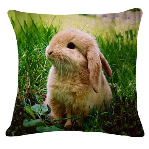 Милые домашние декоративные Чехлы для подушек с принтом кролика, дизайнерский чехол для подушек в виде животных, домашний декор, fundas de cojines - Цвет: 2