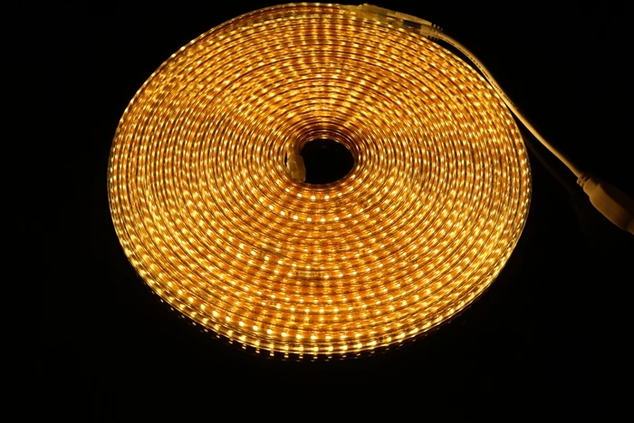 283505