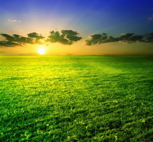 อันดับหนึ่ง 99+ ภาพพื้นหลัง ภาพ ธรรมชาติ ยาม เช้า คมชัด