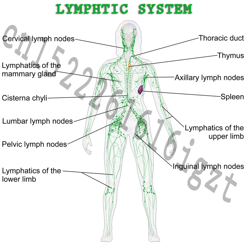 linba