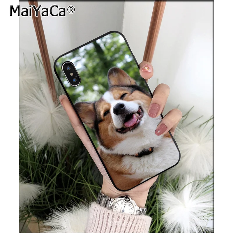 Anime Corgi dog