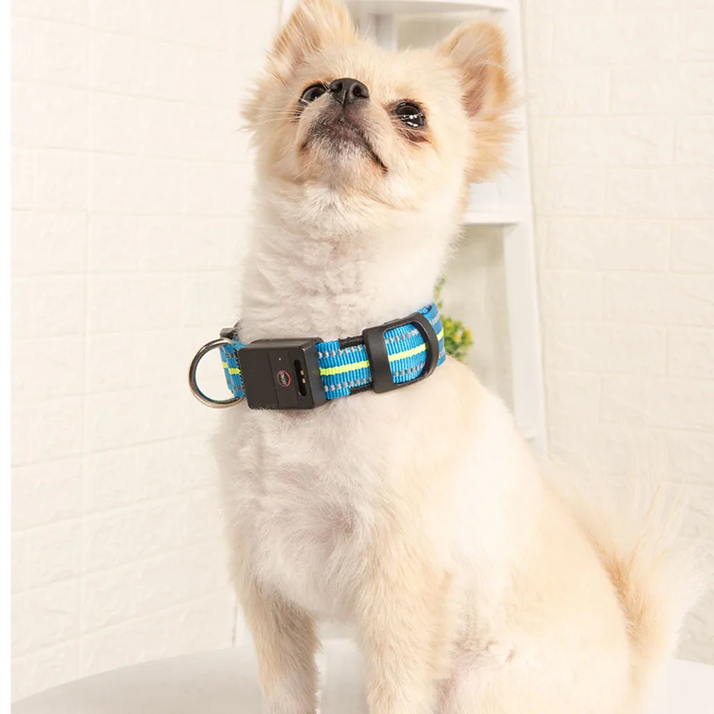 Dropshipping Small And Medium Dog Reflective Strip Waterproof Charging Light LED Collar | Дом и сад