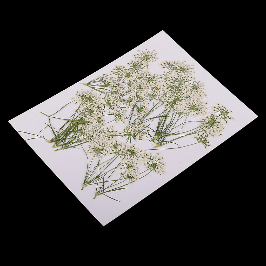 10 Pieces White Lace Flower Natural Real Pressed Dried Flower Poxy Resin Pendant Necklace Jewelry Making Craft DIY Accessories